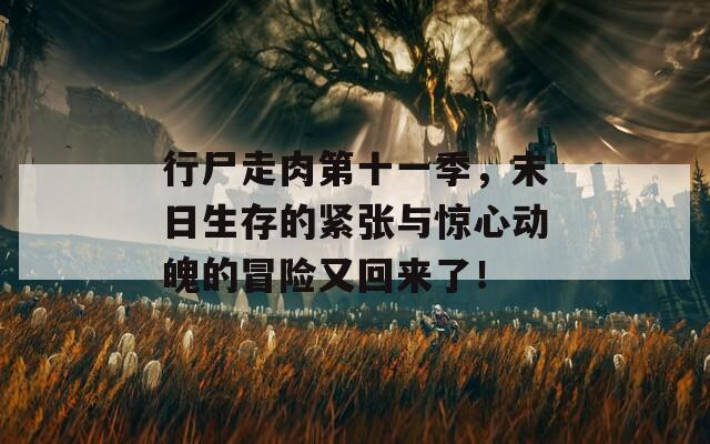 行尸走肉第十一季，末日生存的紧张与惊心动魄的冒险又回来了！