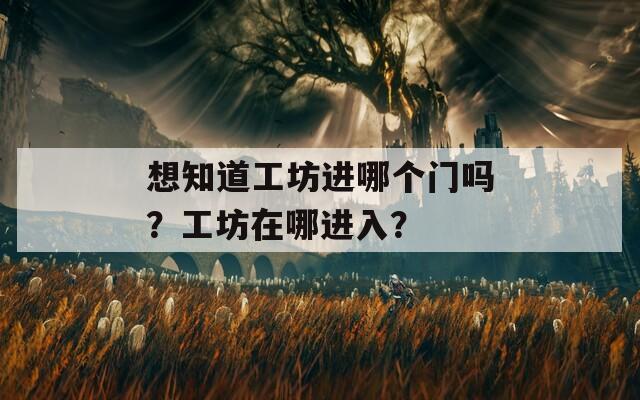 想知道工坊进哪个门吗？工坊在哪进入？