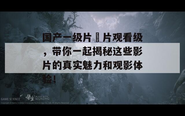 国产一级片婬片观看级，带你一起揭秘这些影片的真实魅力和观影体验！