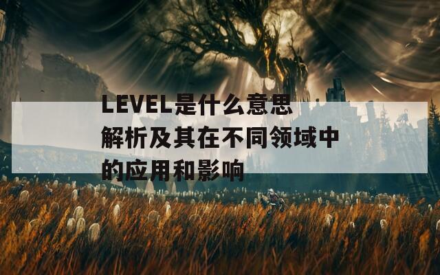 LEVEL是什么意思解析及其在不同领域中的应用和影响