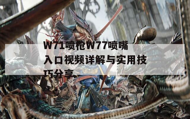 W71喷枪W77喷嘴入口视频详解与实用技巧分享