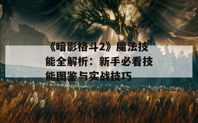 《暗影格斗2》魔法技能全解析：新手必看技能图鉴与实战技巧